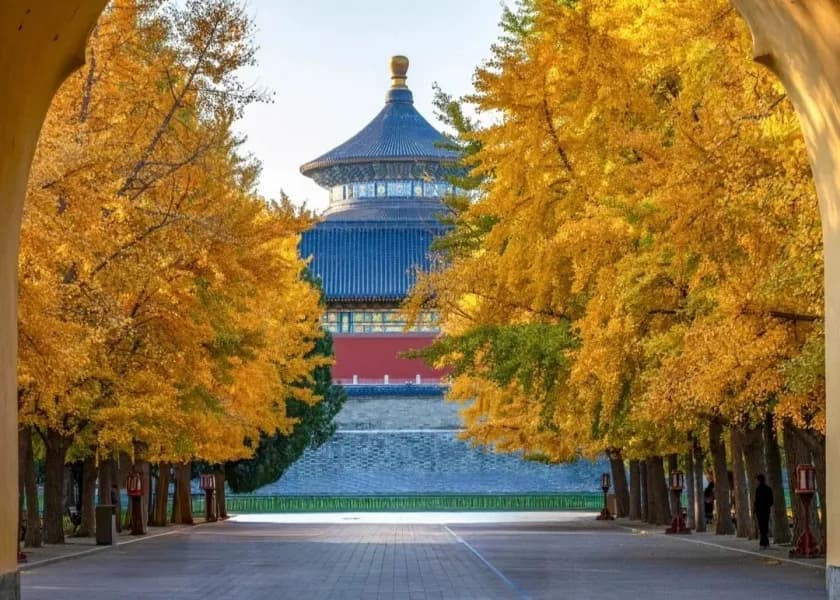 Autumn