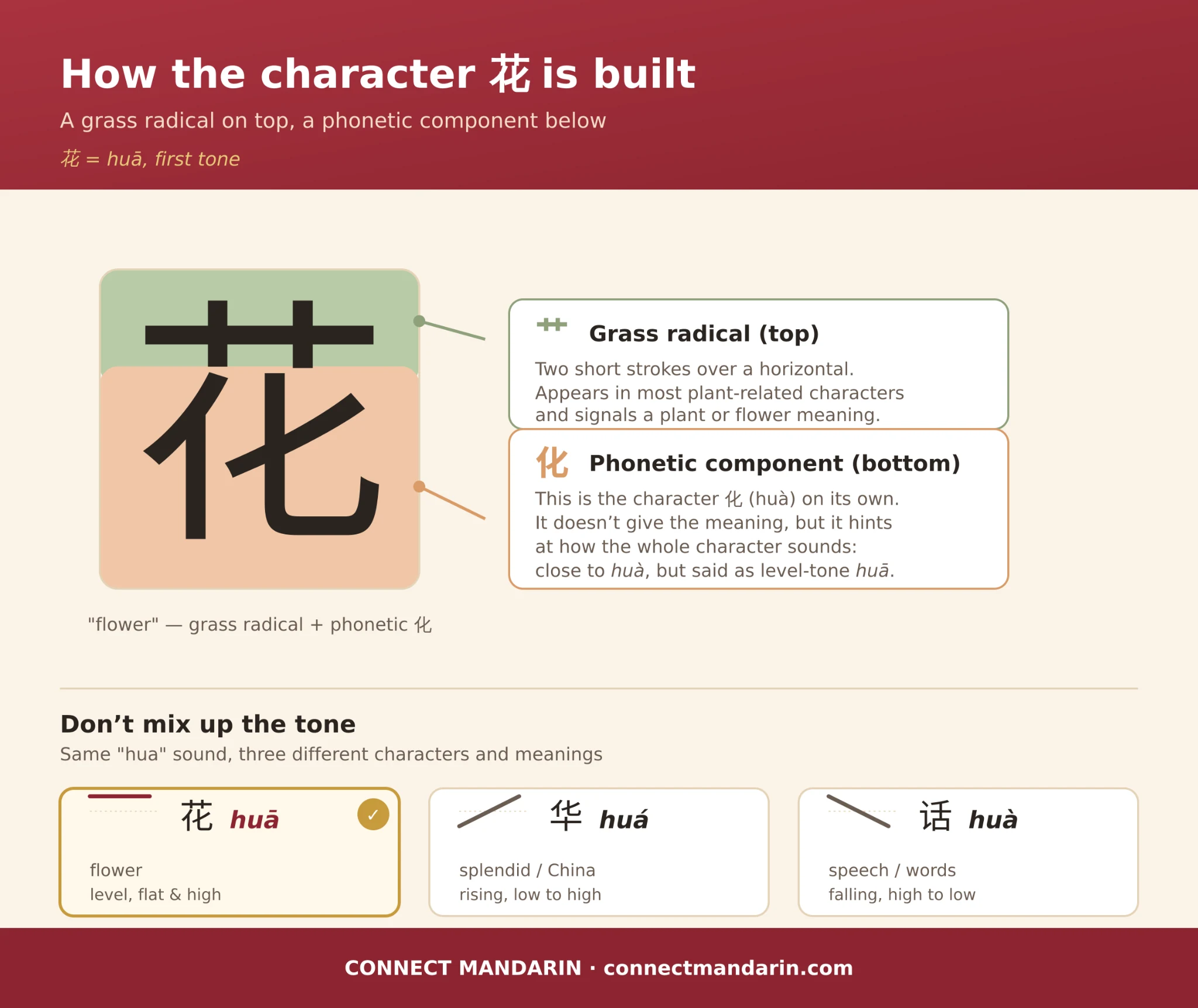 Flowers in Chinese: Names, Meanings, and Culture (花 huā)