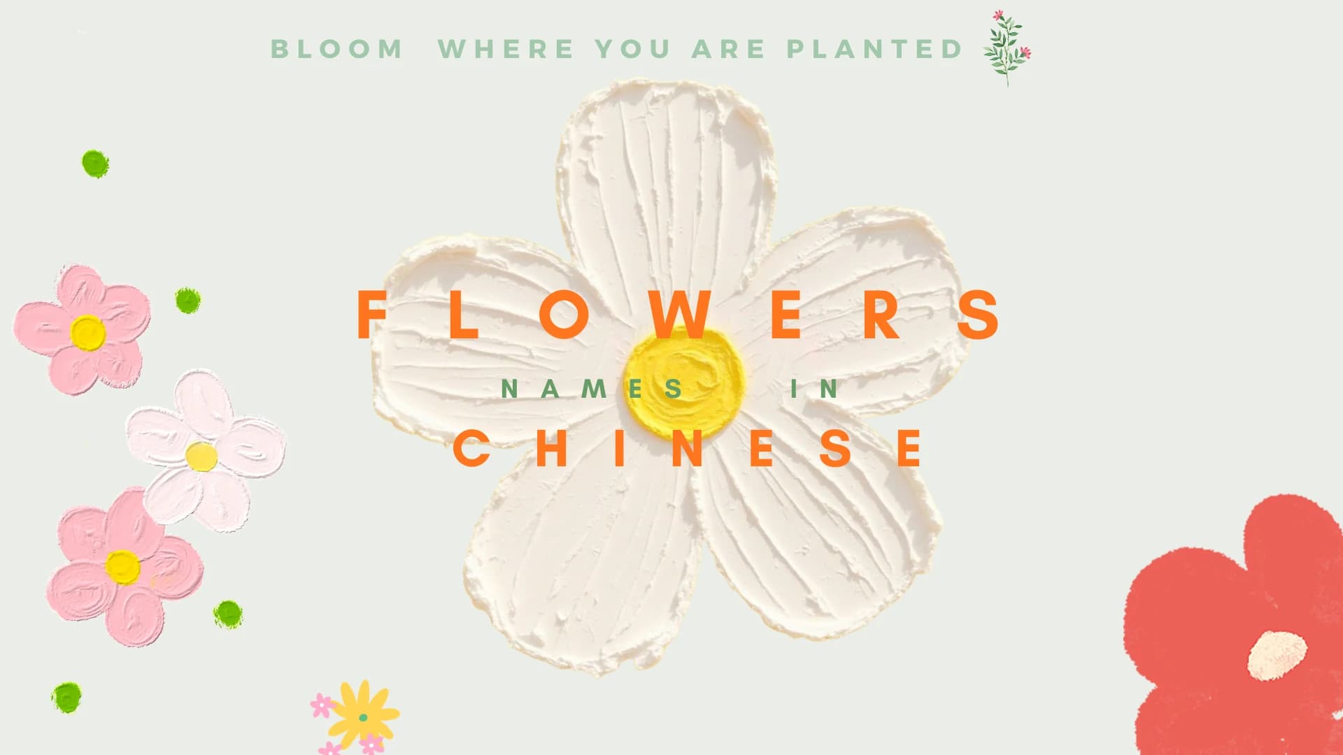Painted white flower with the words Flowers Names in Chinese